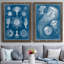 Marine Blueprint I - ensemble de 2 reproductions d'art sur toile-525613677-525613680