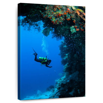 Sireci Indonesia Underwater Diving
