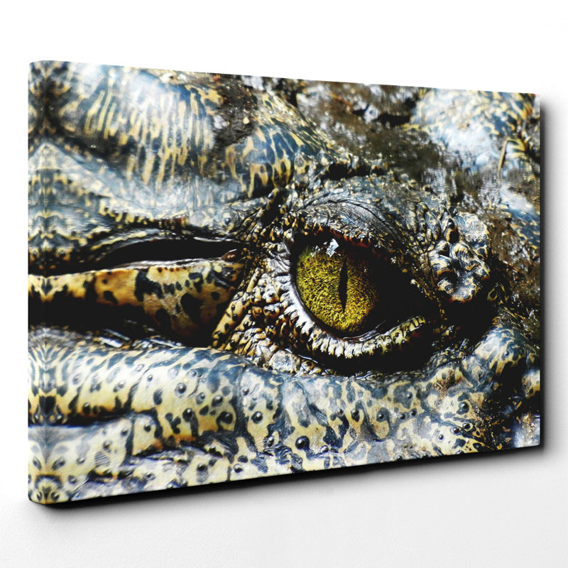 Wrapped Canvas Print, 70cm H x 100cm W