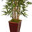 54'' Faux Bamboo Tree in Wood Planter