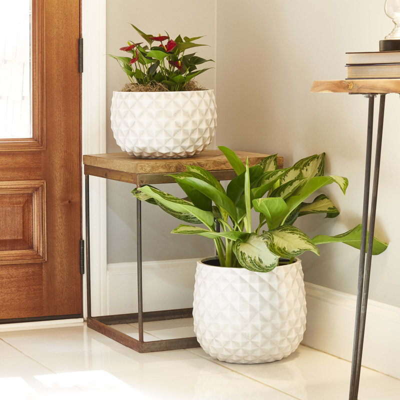 12" High Pineapple Planter, 2-pack