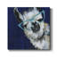 " Gentleman Llama "-583090566