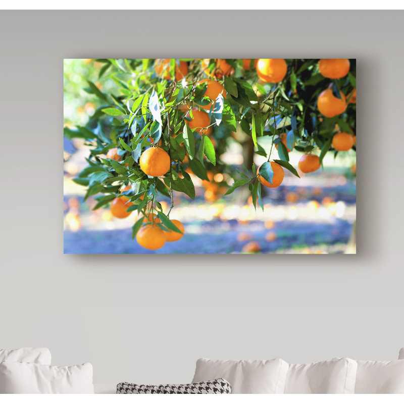 Yareny «Citrus Oranges», reproduction de photo sur toile tendue, H 16 po x l 24 po x P 2 po