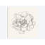 « iv », impression sur toile tendue Pen And Ink Florals-19753862-74759053-74759056