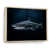 Natural Floater Framed