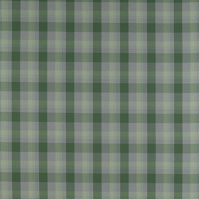 Madrid Preciados 100% Cotton Performance Fabric