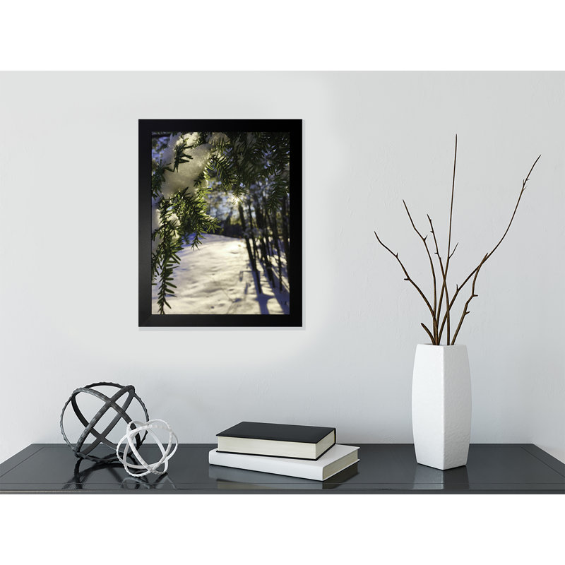 Couverture hivernale - photographie, Papier encadré noir, Pas de tapis, H 16,5 po x l 13,5 po x P 1,25 po