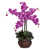 Orchidée sélectionné