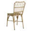 Ensemble de 2 chaises de patio pour l'extérieur en osier avec cadre en fer durable et tissage en rotin naturel