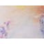 Reverberation 01 Print by Usha Shukla-394656535