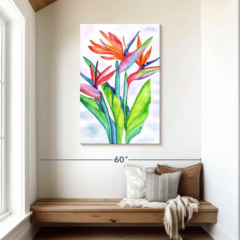 Strelitzias Harnek, H 45 po x l 30 po
