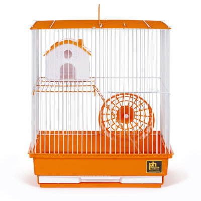Cage à souris avec rampe Kalish