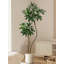 Arbre de luxe luxueux et haut de gamme imitant un grand parasol à feuilles pour la décoration de salon Bonsai-1314237736