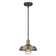 Gracie Oaks Sussman 1 - Light Single Pendant & Reviews | Wayfair