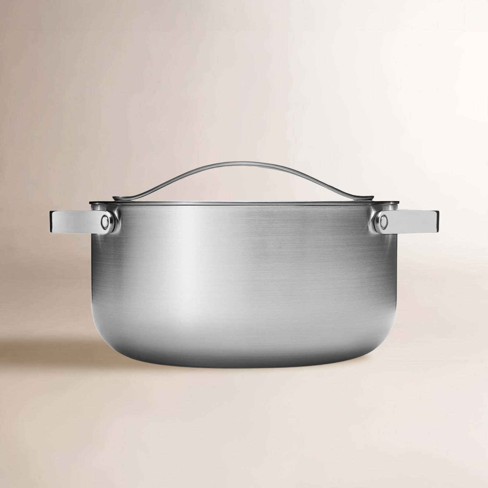 Stainless Steel Dutch Oven