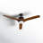 Vansickle 56'' Ceiling Fan with LED Lights-928117337