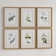Floral Botanical Study - 6 Piece Single Picture Frame Print