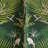 Boutique Fabric