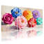 Plantes et fleurs, fleurs colorées sur toile, ensemble de 3 impressions sur toile-1984941406