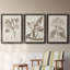 Antique sépia botanicals I - ensemble de 3 reproductions d'art sur toile-1241077294-1241077289