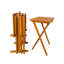 Ensemble de 4 plateaux pliants Karnesh-96678734