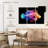 Brampt Rainbow Lionfish-108062900