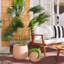 Bozana Pot Planter-1610433422