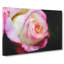 Pink Tipped Rose - Wrapped Canvas-56630720