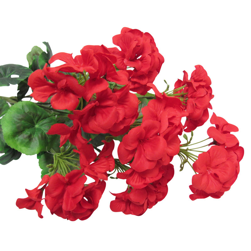 Fleur de géranium