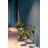 Botanique Plant Stand