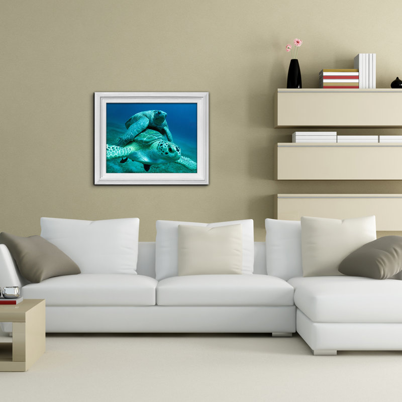 Animals Framed Art