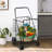 40'' H x 24'' W Folding Shopping Cart with Dual Storage Baskets and Swiveling Wheels-57245144
