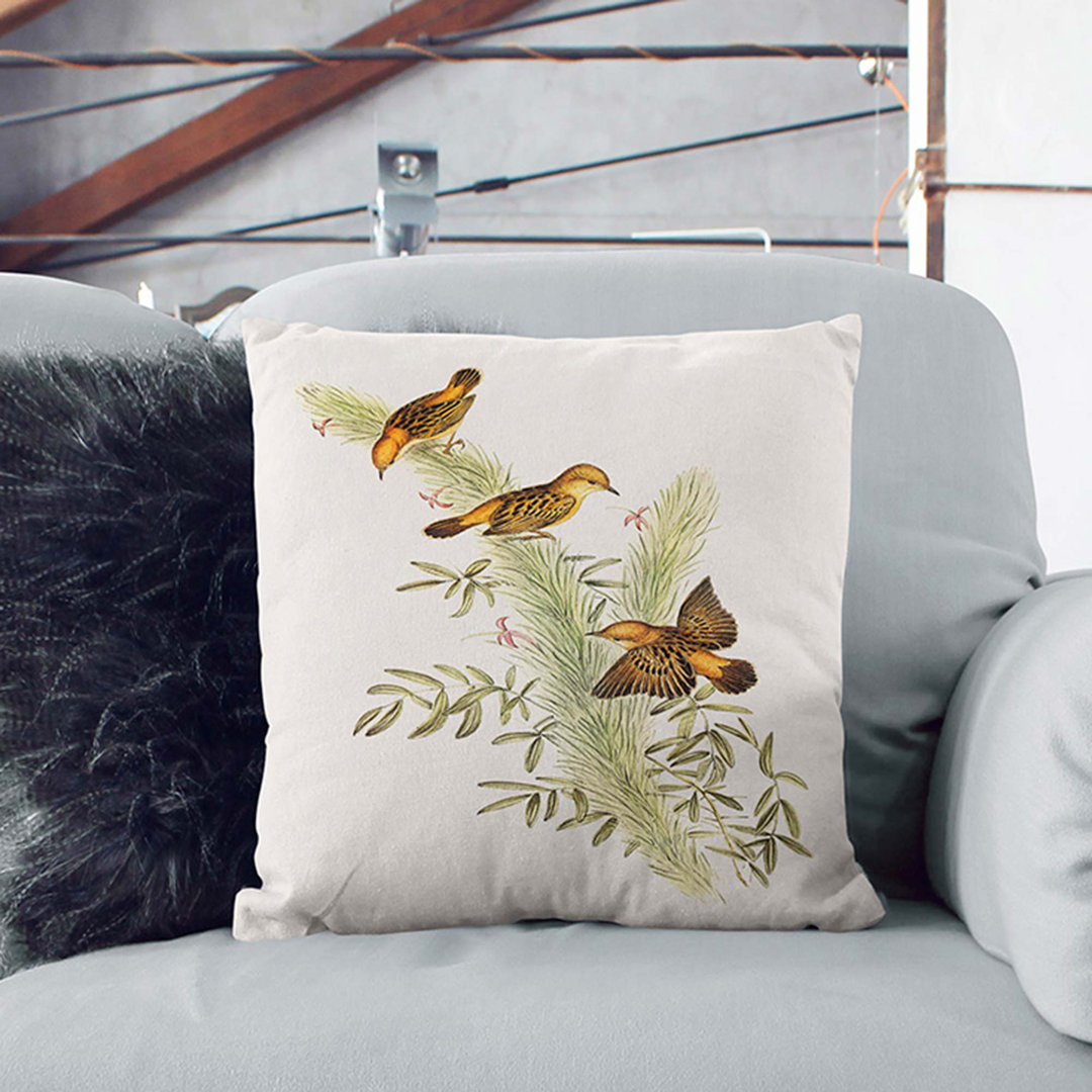 Rufous-Headed Warblers by Elizabeth Gould Cushion with Filling