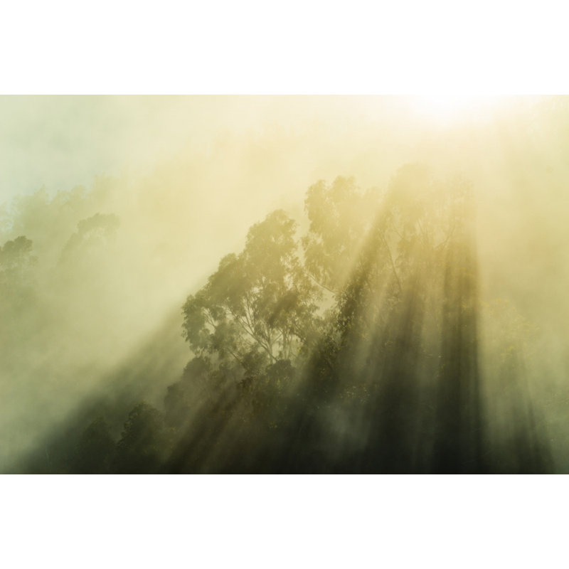 Wrapped Canvas Print, 50.8 cm H x 76.2 cm W