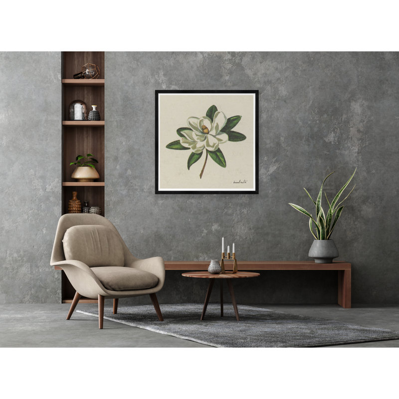 Moulton Collection " Magnolia ", Black