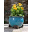 Teegan Stone Weather Resistant Planter Feet
