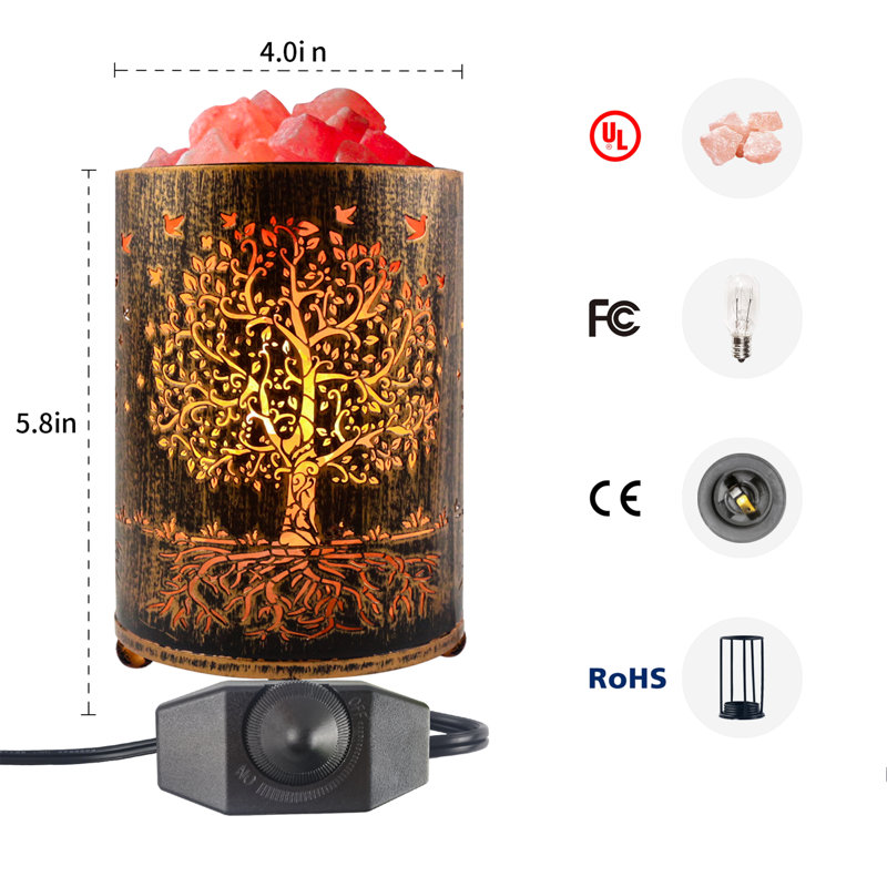 VanVleet Himalayan 3.32 lbs Salt Lamp
