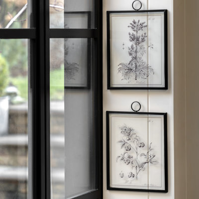 Petiole Art