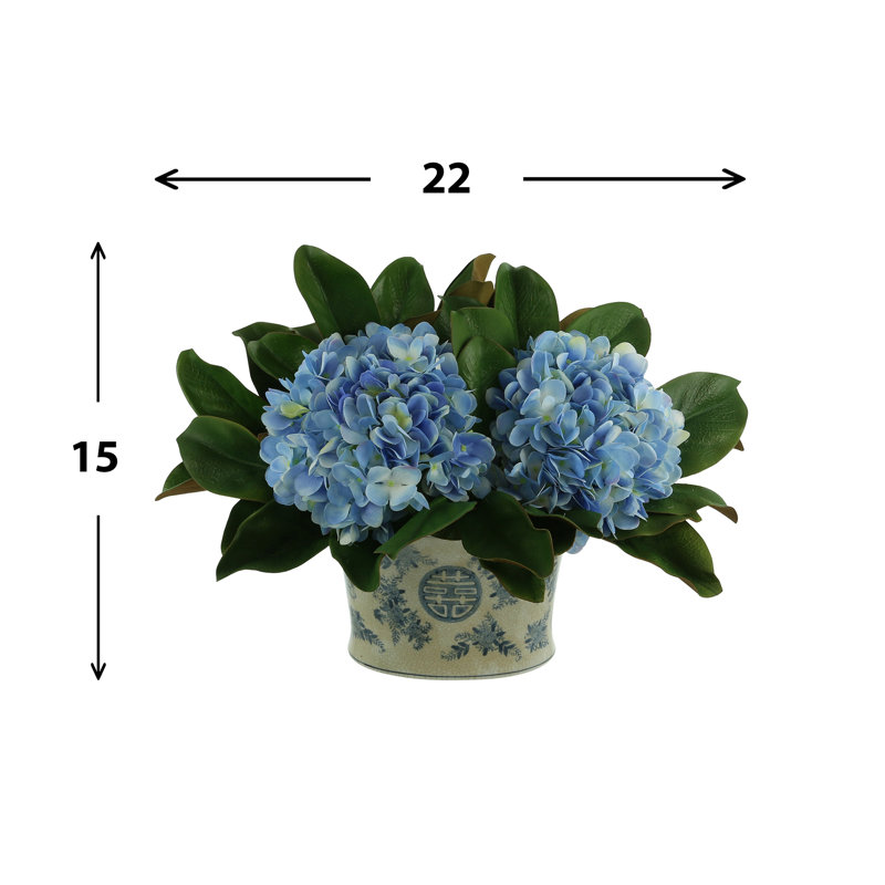Pot d'hortensias