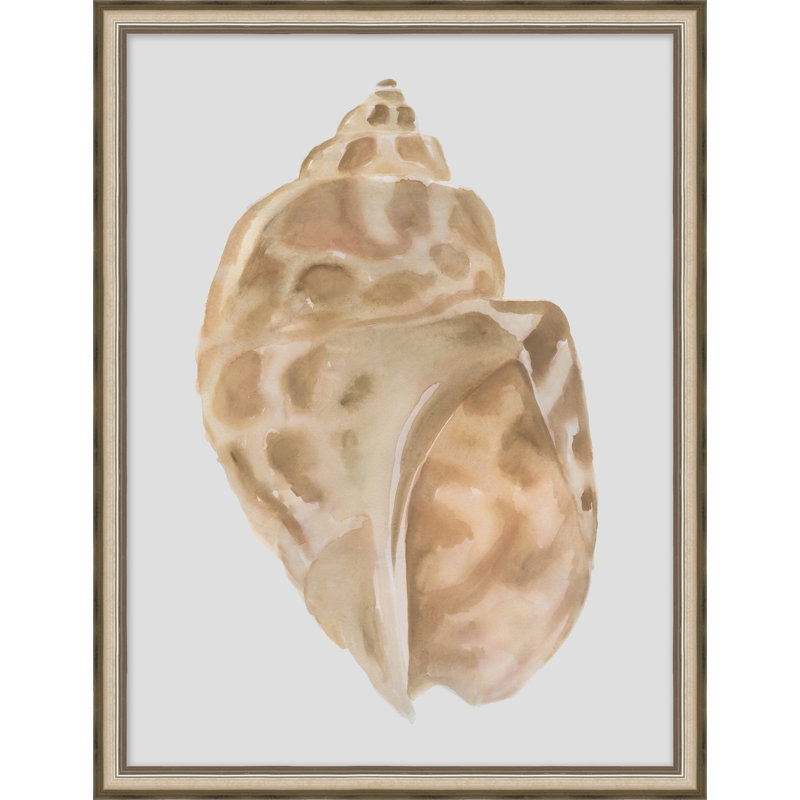 Watercolor Sea Shells 5 - Peinture sur papier