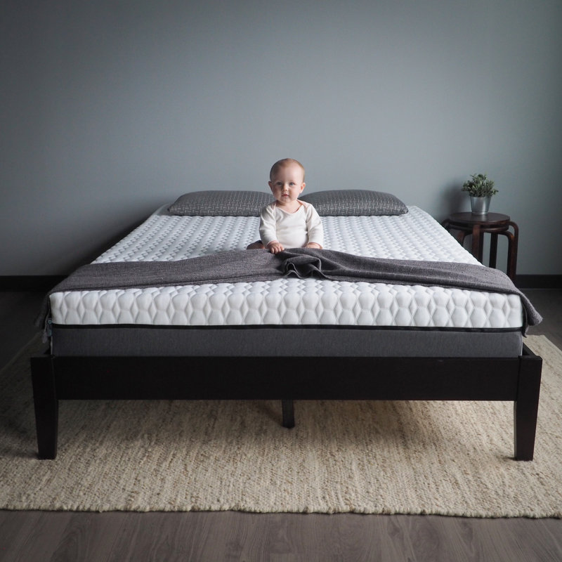 Matelas de soutien moyen Alpha idéal pour les dormeurs changeants, Lit simple