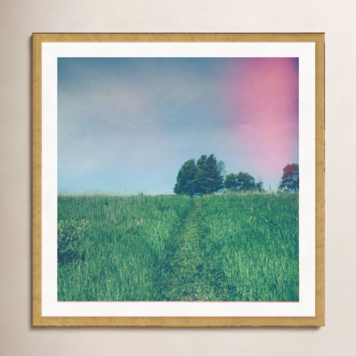 Summer Solstice by Olivia St Claire