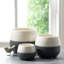 Avyanna Ceramic Pot Planter