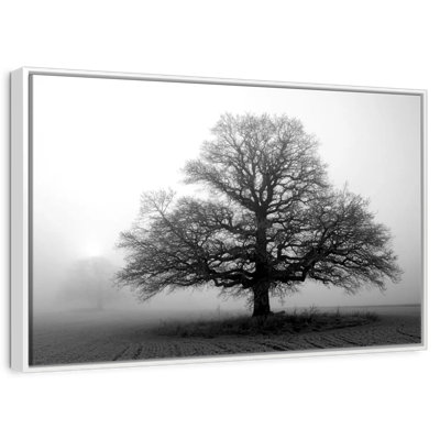 Arbre dans la brume