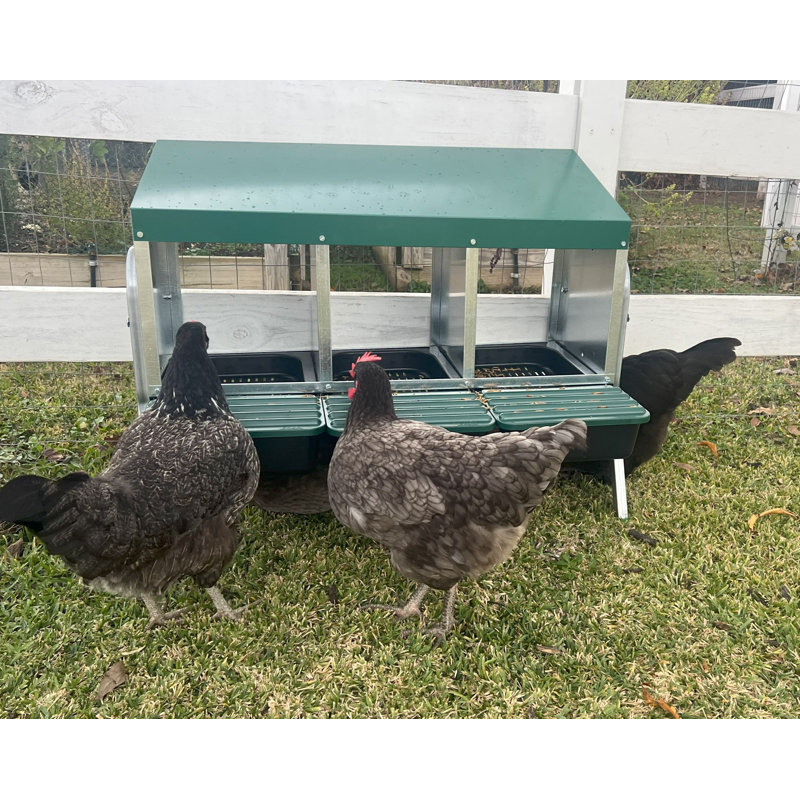 Zylina Metal 3-Bay Freestanding Nesting Box with Legs