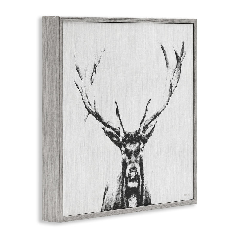Croquis de cerf dans une estampe numérique encadrée par Katrina Craven, H 24 po x l 24 po, Estampe numérique Farmhouse