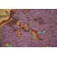 Tapis oriental Oushak 6 x 8