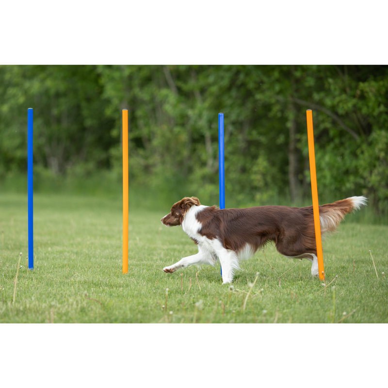 TRIXIE Portable Dog Agility Slalom Set with Steel Spikes
