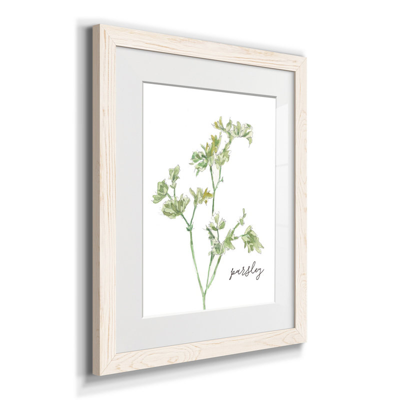 Fresh Sprig Parsley - cadre photo, reproduction d'art sur papier, Blanc, H 20 po x l 17 po x P 1,5 po