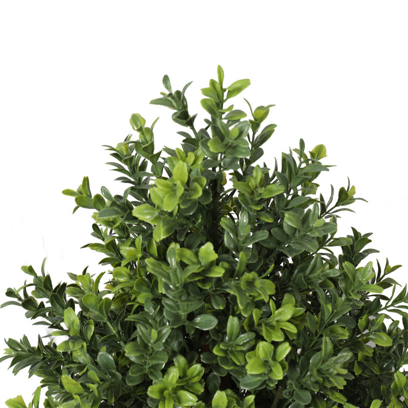 Topiaire UV 36 "buisson de buis, H 24 po x l 17 po x P 17 po